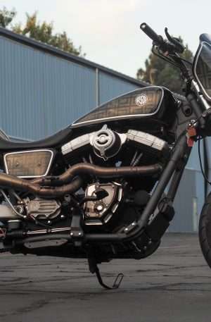 2010 Harley-Davidson RSD“Dyna Ripper”
